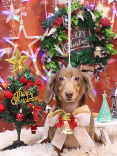 20231223サニーくん